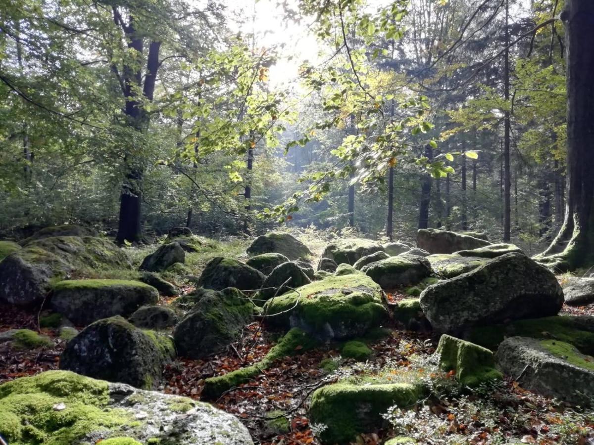 Hejnice Retreat Экстерьер фото